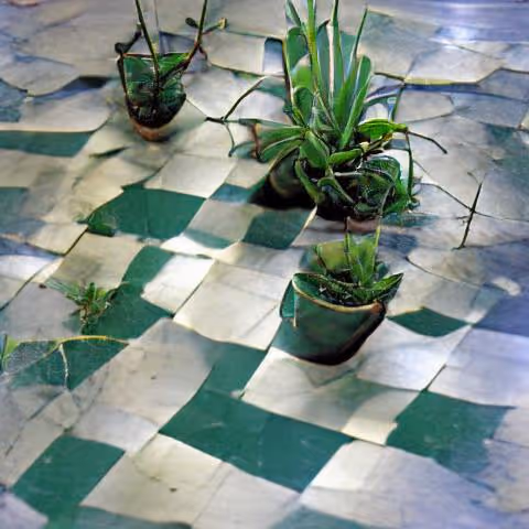 Item #65153916298700067522083748554750574777242795921079823153433125142794480910337 Media