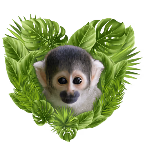 Item #62242735698740646652838811176195790252745899996604082191760039389067825169232 Media