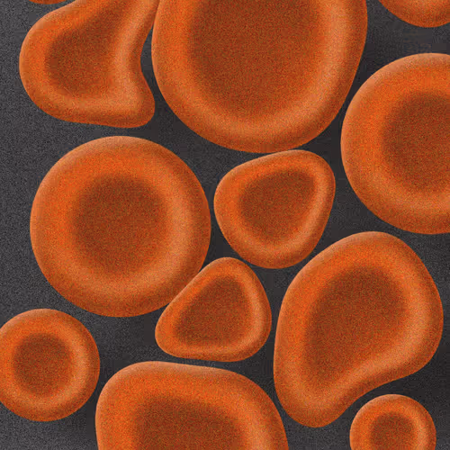 Item #64131219374468392689147632173471520717021712886863842862960286285106144870401 Media