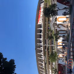  Sports festival