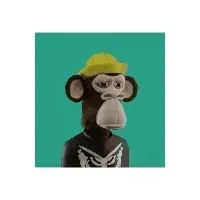 Item #58438194191402783232131875282264543540235880315869551158423032364696866914305 Media