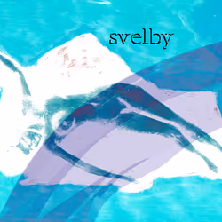 108764752838295203426064024840912078929350984290010995656931113311774741364737