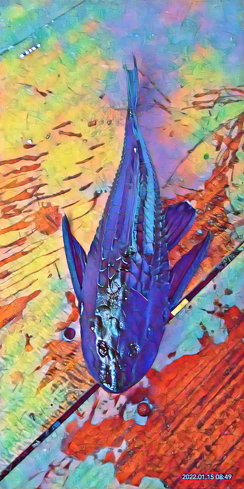 Item #85157456757101135776849577121691156072851928586232116450026823708387150135297 Media