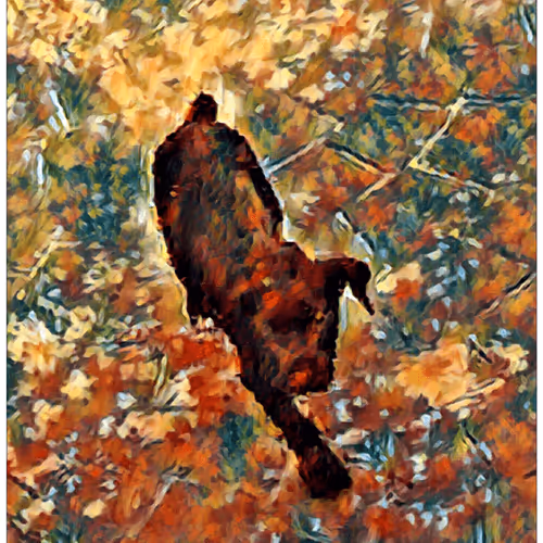 Item #4192449824689126434778211752285006347942189748011200089876078104891082407937 Media