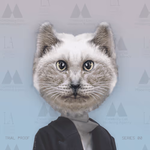 Celebrity Cat Modeling Agency #150