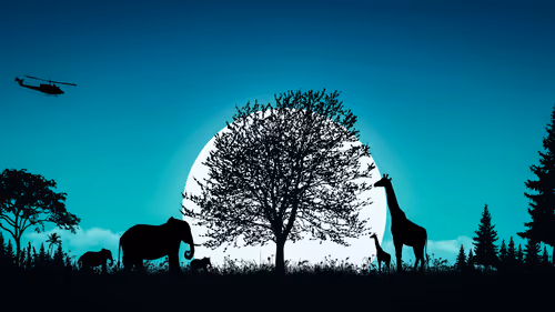 Item #48675370962162840952767984262356909171575887892164890541832012952818891620353 Media