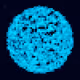 109465923035680512136283285722478726699648901101494319135368784608364047892481