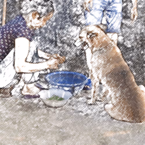 Item #60872619837691221380598772379199687770025926314057253898285761370508060786698 Media