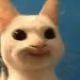41988696541422146084350581938650997123492700815301391527059817846829375029249