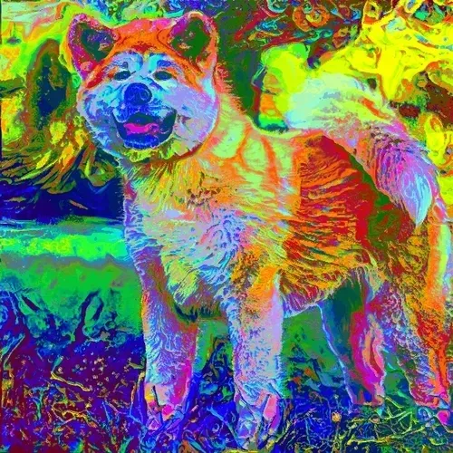 Trippy Akita