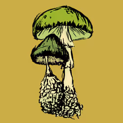 Two Shrooms #2