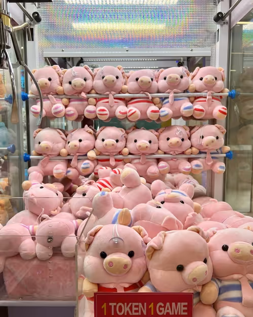 Item #35651106407672476951795186488492568057960232731455007417831889334824031223809 Media