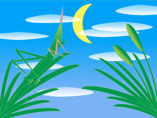 Item #41072103524722802342439355924477002330538405535784749576256202751453423468545 Media