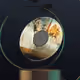 52873092261354155038886124630970657534218264976361974344672078616746700832769