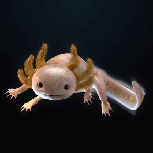 Item #39982110375740153587505644478940195082872270202471884348459982226065079664641 Media