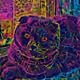 114134304910081629271064024664307533256973840023677820579016561108658157518849