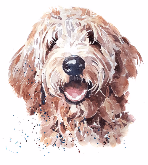 Item #15308155937593783866228062712704217529335676444312394672786838678797018988549 Media