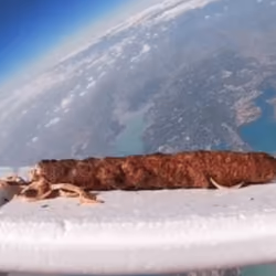 TÜRKİYE - ADANA DÖNER UZAYDA