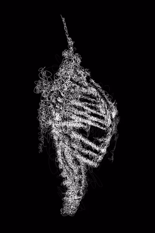 Item #20286817641922993541065929101952433978531825078991625494647867337011659538433 Media