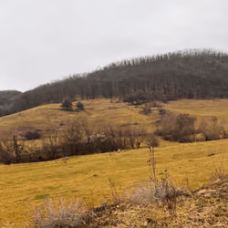 Country landscape #11