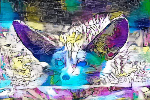 Untitled Collection #65991356