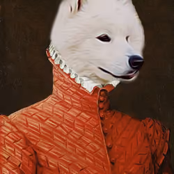 Gentleman Samoyed