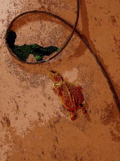 Item #22280596376545601748962735475346285949380965232993132913848985005410054307841 Media