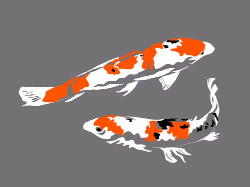 Item #86286569011672249143581902672238150923937334210812916089856769925069244727297 Media