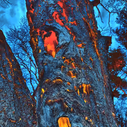 Inmost Firelight