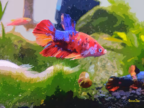 Item #74464285102539120175525880978246253166996374944805974491567127452425146859521 Media