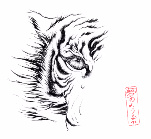 Item #93025233853378055606332558636383839200726109849838677751846182040137040396289 Media