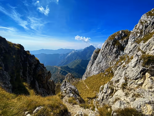 Item #36336170879608208403963751604494433054462935544758920663222913842879127355393 Media