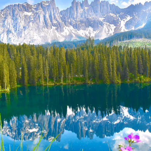 Item #66486909151795806926877165671639202485022646701463530228348329513610450567169 Media