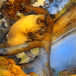 Treecat