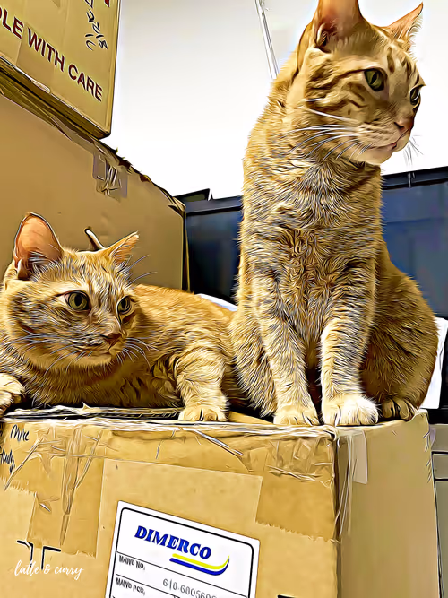 Item #38747037905347177925471706443205225448662377409082536750344913911312753360897 Media