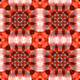 21725602367377804943303579263389235102696538410154487345015557725558767878145