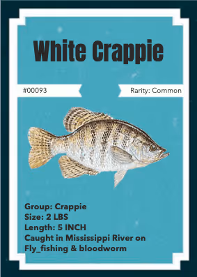 11587606933288487233709956499563114652187662415934773553861794773530998472705