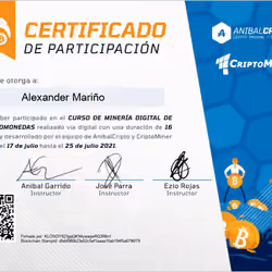 Certificado De Mineria