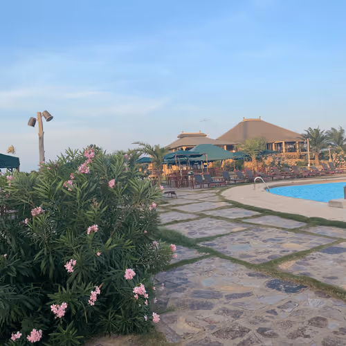 Item #53824836538918648026680043126042186080742309087165823150174572799051784257537 Media