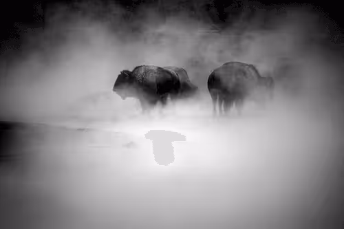 Item #11685792939454558034740506951772595680902852194857835562090585088959895830531 Media