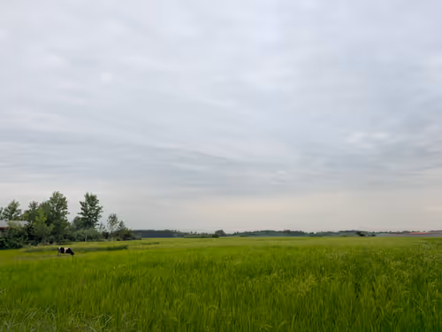 Item #35919042871244573338341443481004100687759546916264477406015230776104215117825 Media