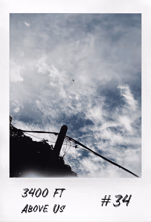 Item #18140997515377128160158968523159996217114177241971252652829514310072599052289 Media