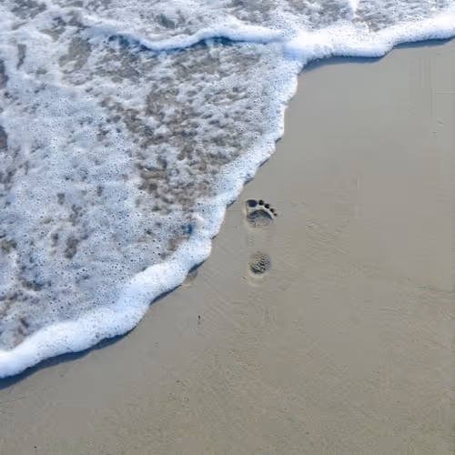 Item #30813211791344152338937808704740591007204009666135450340711733768321438318593 Media