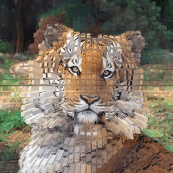 11276162529628641556553056529614973332754405277106184420845744835505684480001