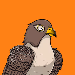 11538255180231465227692626853838225494553623514996908007785703229677518192641