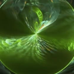 Neutron