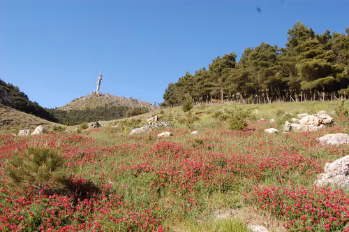 Item #56287055780979128950245095664156082691230445151418642547794192055208534605825 Media