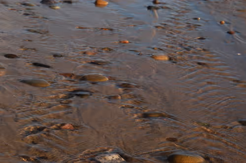 Item #19694953450994535055796596826502944982455978775333522112985953737962644570115 Media