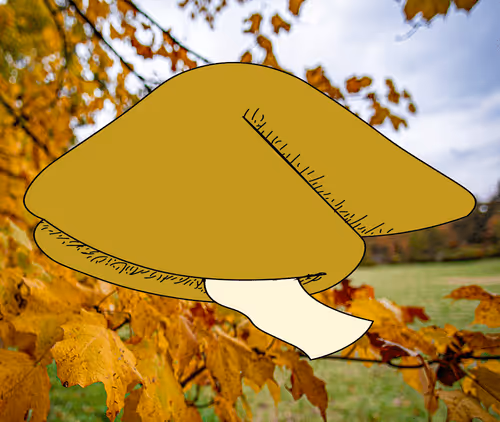 Item #56177743258238353915692039261457950691196406802314425732675602191350423879780 Media