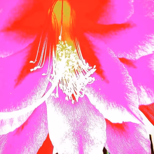 6319528205725192402137538471635698670390567315574369707282574015214148124673